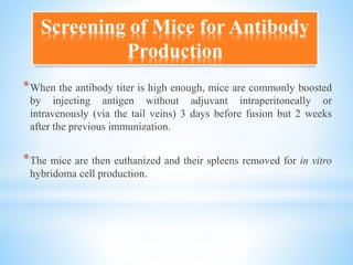 *When the antibody titer is high enough, mice are commonly boosted
by injecting antigen without adjuvant intraperitoneally or
intravenously (via the tail veins) 3 days before fusion but 2 weeks
after the previous immunization.
*The mice are then euthanized and their spleens removed for in vitro
hybridoma cell production.
Screening of Mice for Antibody
Production
 