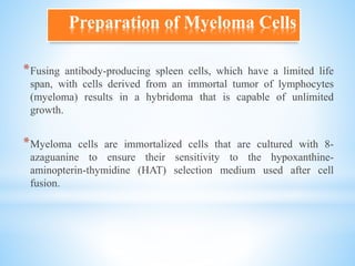 Preparation of Myeloma Cells
*Fusing antibody-producing spleen cells, which have a limited life
span, with cells derived from an immortal tumor of lymphocytes
(myeloma) results in a hybridoma that is capable of unlimited
growth.
*Myeloma cells are immortalized cells that are cultured with 8-
azaguanine to ensure their sensitivity to the hypoxanthine-
aminopterin-thymidine (HAT) selection medium used after cell
fusion.
 
