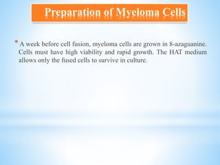 *A week before cell fusion, myeloma cells are grown in 8-azaguanine.
Cells must have high viability and rapid growth. The HAT medium
allows only the fused cells to survive in culture.
Preparation of Myeloma Cells
 