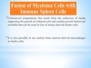 *Commercial preparations that result from the collection of media
supporting the growth of cultured cells and contain growth factors are
available that can be used in lieu of mouse-derived feeder cells.
*It is also possible to use murine bone marrow-derived macrophages
as feeder cells.
Fusion of Myeloma Cells with
Immune Spleen Cells
 