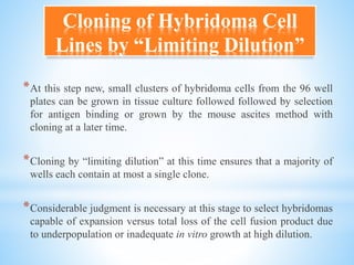 Cloning of Hybridoma Cell
Lines by “Limiting Dilution”
*At this step new, small clusters of hybridoma cells from the 96 well
plates can be grown in tissue culture followed followed by selection
for antigen binding or grown by the mouse ascites method with
cloning at a later time.
*Cloning by “limiting dilution” at this time ensures that a majority of
wells each contain at most a single clone.
*Considerable judgment is necessary at this stage to select hybridomas
capable of expansion versus total loss of the cell fusion product due
to underpopulation or inadequate in vitro growth at high dilution.
 