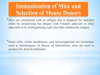 Immunization of Mice and
Selection of Mouse Donors
*Mice are immunized with an antigen that is prepared for injection
either by emulsifying the antigen with Freund's adjuvant or other
adjuvants or by homogenizing a gel slice that contains the antigen.
*Intact cells, whole membranes, and microorganisms are sometimes
used as immunogens. In almost all laboratories, mice are used to
produce the desired antibodies.
 