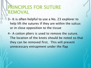 PRINCIPLES FOR SUTURE 
REMOVAL 
3- It is often helpful to use a No. 23 explorer to 
help lift the sutures if they are within the sulcus 
or in close opposition to the tissue 
4- A cotton pliers is used to remove the suture. 
The location of the knots should be noted so that 
they can be removed first. This will prevent 
unnecessary entrapment under the flap 
 