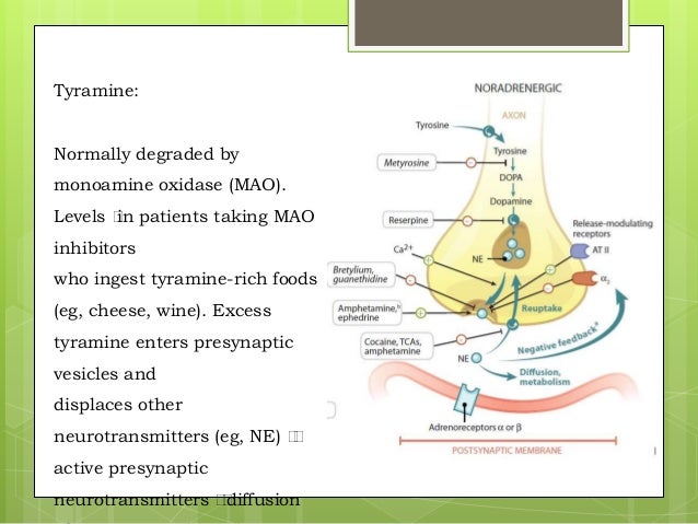 Common Food Drug Interactions