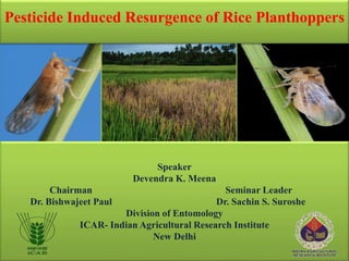 Speaker
Devendra K. Meena
Chairman Seminar Leader
Dr. Bishwajeet Paul Dr. Sachin S. Suroshe
Division of Entomology
ICAR- Indian Agricultural Research Institute
New Delhi
Pesticide Induced Resurgence of Rice Planthoppers
 