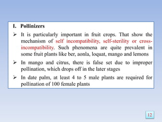I. Pollinizers
 It is particularly important in fruit crops. That show the
mechanism of self incompatibility, self-sterility or cross-
incompatibility. Such phenomena are quite prevalent in
some fruit plants like ber, aonla, loquat, mango and lemons
 In mango and citrus, there is false set due to improper
pollination, which drops off in the later stages
 In date palm, at least 4 to 5 male plants are required for
pollination of 100 female plants
12
 