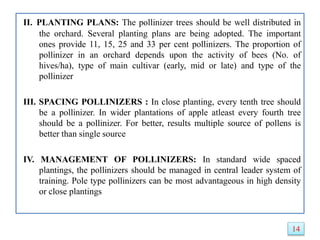 II. PLANTING PLANS: The pollinizer trees should be well distributed in
the orchard. Several planting plans are being adopted. The important
ones provide 11, 15, 25 and 33 per cent pollinizers. The proportion of
pollinizer in an orchard depends upon the activity of bees (No. of
hives/ha), type of main cultivar (early, mid or late) and type of the
pollinizer
III. SPACING POLLINIZERS : In close planting, every tenth tree should
be a pollinizer. In wider plantations of apple atleast every fourth tree
should be a pollinizer. For better, results multiple source of pollens is
better than single source
IV. MANAGEMENT OF POLLINIZERS: In standard wide spaced
plantings, the pollinizers should be managed in central leader system of
training. Pole type pollinizers can be most advantageous in high density
or close plantings
14
 