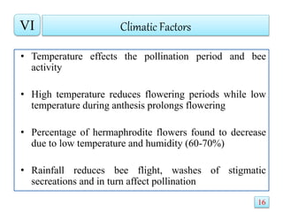 Climatic Factors
• Temperature effects the pollination period and bee
activity
• High temperature reduces flowering periods while low
temperature during anthesis prolongs flowering
• Percentage of hermaphrodite flowers found to decrease
due to low temperature and humidity (60-70%)
• Rainfall reduces bee flight, washes of stigmatic
secreations and in turn affect pollination
VI
16
 