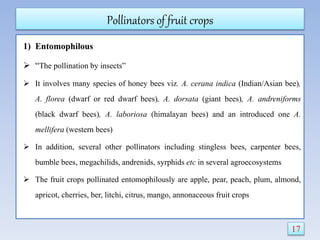 1) Entomophilous
 “The pollination by insects”
 It involves many species of honey bees viz. A. cerana indica (Indian/Asian bee),
A. florea (dwarf or red dwarf bees), A. dorsata (giant bees), A. andreniforms
(black dwarf bees), A. laboriosa (himalayan bees) and an introduced one A.
mellifera (western bees)
 In addition, several other pollinators including stingless bees, carpenter bees,
bumble bees, megachilids, andrenids, syrphids etc in several agroecosystems
 The fruit crops pollinated entomophilously are apple, pear, peach, plum, almond,
apricot, cherries, ber, litchi, citrus, mango, annonaceous fruit crops
17
Pollinators of fruit crops
 