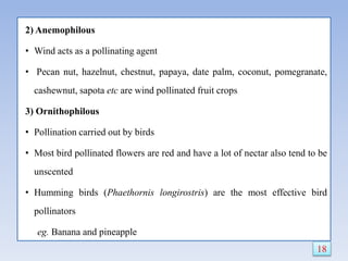 2) Anemophilous
• Wind acts as a pollinating agent
• Pecan nut, hazelnut, chestnut, papaya, date palm, coconut, pomegranate,
cashewnut, sapota etc are wind pollinated fruit crops
3) Ornithophilous
• Pollination carried out by birds
• Most bird pollinated flowers are red and have a lot of nectar also tend to be
unscented
• Humming birds (Phaethornis longirostris) are the most effective bird
pollinators
eg. Banana and pineapple
18
 