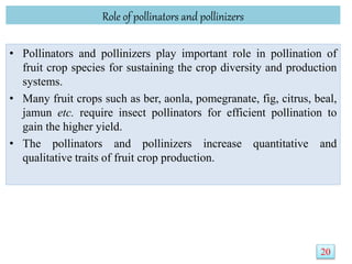 Role of pollinators and pollinizers
• Pollinators and pollinizers play important role in pollination of
fruit crop species for sustaining the crop diversity and production
systems.
• Many fruit crops such as ber, aonla, pomegranate, fig, citrus, beal,
jamun etc. require insect pollinators for efficient pollination to
gain the higher yield.
• The pollinators and pollinizers increase quantitative and
qualitative traits of fruit crop production.
20
20
 