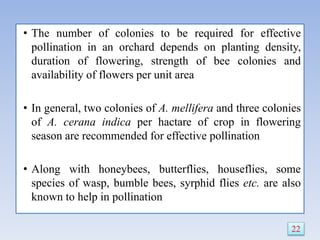 • The number of colonies to be required for effective
pollination in an orchard depends on planting density,
duration of flowering, strength of bee colonies and
availability of flowers per unit area
• In general, two colonies of A. mellifera and three colonies
of A. cerana indica per hactare of crop in flowering
season are recommended for effective pollination
• Along with honeybees, butterflies, houseflies, some
species of wasp, bumble bees, syrphid flies etc. are also
known to help in pollination
22
 