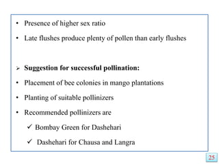 • Presence of higher sex ratio
• Late flushes produce plenty of pollen than early flushes
 Suggestion for successful pollination:
• Placement of bee colonies in mango plantations
• Planting of suitable pollinizers
• Recommended pollinizers are
 Bombay Green for Dashehari
 Dashehari for Chausa and Langra
25
 