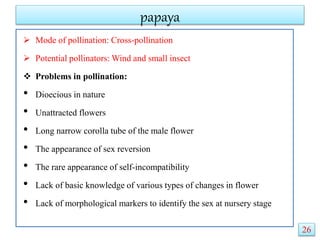 papaya
 Mode of pollination: Cross-pollination
 Potential pollinators: Wind and small insect
 Problems in pollination:
• Dioecious in nature
• Unattracted flowers
• Long narrow corolla tube of the male flower
• The appearance of sex reversion
• The rare appearance of self-incompatibility
• Lack of basic knowledge of various types of changes in flower
• Lack of morphological markers to identify the sex at nursery stage
26
 