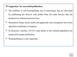  Suggestion for successful pollination:
• The problem of self-incompatibilty due to heterostyly may be alleviated
by pollinating the flowers with pollen from the male flowers that are
produced on andromonoecious trees
• Honeybees, thrips, hawk moths and apparently also mosquitoes have been
reported as pollinators of papaya
• In dioecious varieties, 10-12% male plants in the orchard population are
required for proper pollination
• Wind pollination is also important
27
 
