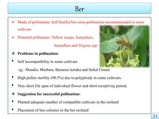Ber
 Mode of pollination: Self fruitful but cross-pollination recommmended in some
cultivars
 Potential pollinators: Yellow wasps, honeybees,
houseflies and Trigona spp.
 Problems in pollination:
• Self incompatibility in some cultivars
eg.: Mundia, Murhara, Banarasi karaka and Safed Umran
• High pollen sterility (90.5%) due to polyploidy in some cultivars.
• Very short life span of individual flower and short receptivity period.
 Suggestion for successful pollination:
• Planted adequate number of compatible cultivars in the orchard
• Placement of bee colonies in the ber orchard
33
 