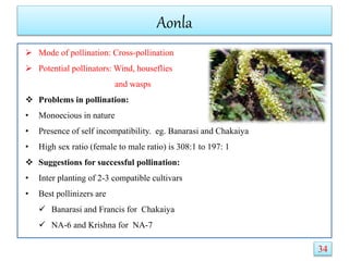 Aonla
 Mode of pollination: Cross-pollination
 Potential pollinators: Wind, houseflies
and wasps
 Problems in pollination:
• Monoecious in nature
• Presence of self incompatibility. eg. Banarasi and Chakaiya
• High sex ratio (female to male ratio) is 308:1 to 197: 1
 Suggestions for successful pollination:
• Inter planting of 2-3 compatible cultivars
• Best pollinizers are
 Banarasi and Francis for Chakaiya
 NA-6 and Krishna for NA-7
34
 