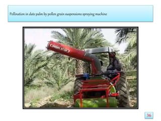 Pollination in date palm by pollen grain suspensions spraying machine
36
 