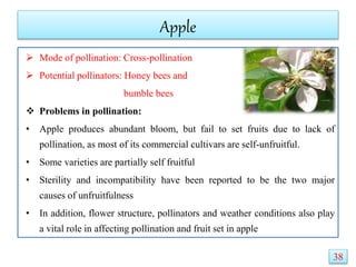 Apple
 Mode of pollination: Cross-pollination
 Potential pollinators: Honey bees and
bumble bees
 Problems in pollination:
• Apple produces abundant bloom, but fail to set fruits due to lack of
pollination, as most of its commercial cultivars are self-unfruitful.
• Some varieties are partially self fruitful
• Sterility and incompatibility have been reported to be the two major
causes of unfruitfulness
• In addition, flower structure, pollinators and weather conditions also play
a vital role in affecting pollination and fruit set in apple
38
 