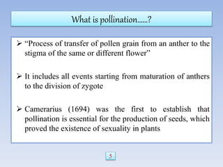 What is pollination……?
 “Process of transfer of pollen grain from an anther to the
stigma of the same or different flower”
 It includes all events starting from maturation of anthers
to the division of zygote
 Camerarius (1694) was the first to establish that
pollination is essential for the production of seeds, which
proved the existence of sexuality in plants
5
 