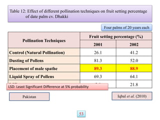 Table 12: Effect of different pollination techniques on fruit setting percentage
of date palm cv. Dhakki
Pollination Techniques
Fruit setting percentage (%)
2001 2002
Control (Natural Pollination) 26.1 41.2
Dusting of Pollens 81.3 52.0
Placement of male spathe 89.3 88.9
Liquid Spray of Pollens 69.3 64.1
LSD 2.8 21.8
LSD: Least Significant Difference at 5% probability
Iqbal et al. (2010)
Pakistan
Four palms of 20 years each
53
 
