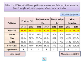 Pollinizer
Fruit set (%)
Fruit retention
(%)
Bunch weight
(kg)
Yield
(kg/palm)
2012 2013 2012 2013 2012 2013 2012 2013
Noubaria 86.0a 85.3a 57.0a 62.0a 18.9a 20.3a 151.2a 162.1a
Aswan 69.2c 70.3d 50.0d 52.3d 13.7e 15.3e 109.9e 122.3e
Giza 80.3b 79.7b 55.7ab 60.3b 18.2b 19.5b 145.3b 155.7b
Rashid 80.0b 80.3b 52.7c 57.0c 16.4c 17.3c 131.5c 137.7c
New valley 69.6c 73.0c 54.0bc 56.7c 15.4d 16.2d 123.5d 129.6d
Significance S S S S S S S S
Table 13: Effect of different pollinizer sources on fruit set, fruit retention,
bunch weight and yield per palm of date palm cv. Amhat
Giza, Egypt Mustafa et al. (2014)
30 years age palms
54
 