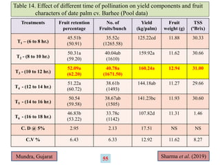 Table 14. Effect of different time of pollination on yield components and fruit
characters of date palm cv. Barhee (Pool data)
Treatments Fruit retention
percentage
No. of
Fruits/bunch
Yield
(kg/palm)
Fruit
weight (g)
TSS
(ºBrix)
T1 – (6 to 8 hr.)
45.51b
(50.91)
35.52c
(1265.58)
125.22cd 11.88 30.33
T2 - (8 to 10 hr.)
50.31a
(59.20)
40.04ab
(1610)
159.92a 11.62 30.66
T3 - (10 to 12 hr.)
52.09a
(62.20)
40.78a
(1671.50)
160.24a 12.94 31.00
T4 - (12 to 14 hr.)
51.22a
(60.72)
38.61b
(1493)
144.18ab 11.27 29.66
T5 - (14 to 16 hr.)
50.54
(59.58)
38.67ab
(1505)
141.23bc 11.93 30.60
T6 - (16 to 18 hr.)
46.83b
(53.22)
33.78c
(1142)
107.82d 11.31 1.46
C. D @ 5% 2.95 2.13 17.51 NS NS
C.V % 6.43 6.33 12.92 11.62 8.27
Sharma et al. (2019)
Mundra, Gujarat 55
 