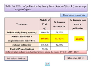 Treatments
Weight of
Fruit
(g)
% increase
over control
% increase over
natural
pollination
Pollination by honey bees only 100.41b 28.22%
Natural pollination +
augmentation of honey bees
166.19a 112.13%
Natural pollination 116.63b 42.53%
Control (No pollination) 78.31c
Table 16: Effect of pollination by honey bees (Apis mellifera L.) on average
weight of apple
Different letters indicate significant differences among the means (P >0.05) LSD = 21.50
Khan et al. (2012)
Faisalabad, Pakistan
Three plants ≈ plant size
57
48.83%
 