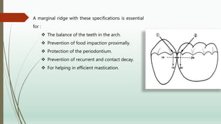 A marginal ridge with these specifications is essential
for :
 The balance of the teeth in the arch.
 Prevention of food impaction proximally.
 Protection of the periodontium.
 Prevention of recurrent and contact decay.
 For helping in efficient mastication.
 