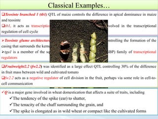 Domestication syndrome in crop plants | PPTX