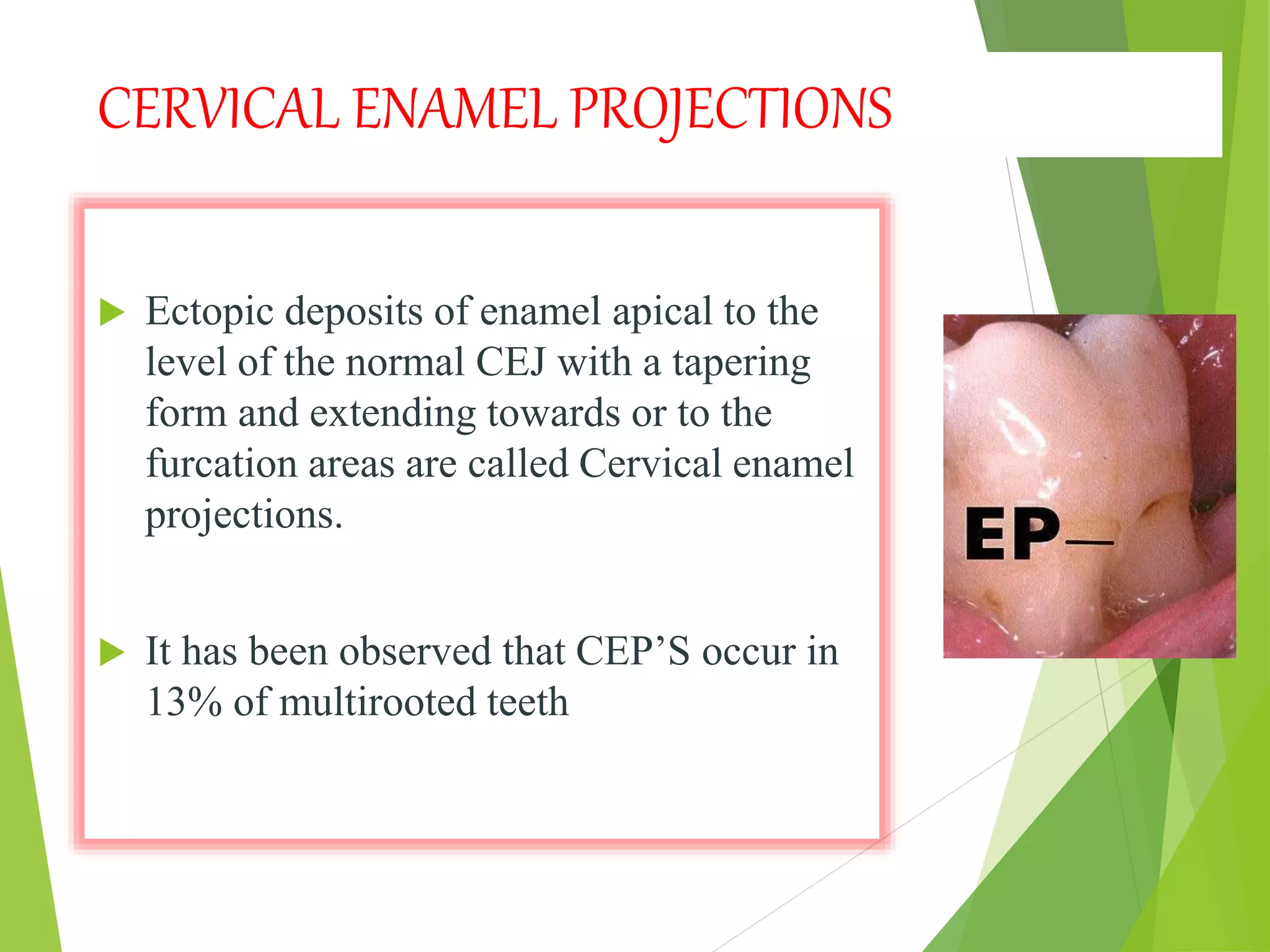 CERVICAL ENAMEL PROJECTIONS
 Ectopic deposits of enamel apical to the
level of the normal CEJ with a tapering
form and extending towards or to the
furcation areas are called Cervical enamel
projections.
 It has been observed that CEP’S occur in
13% of multirooted teeth
 