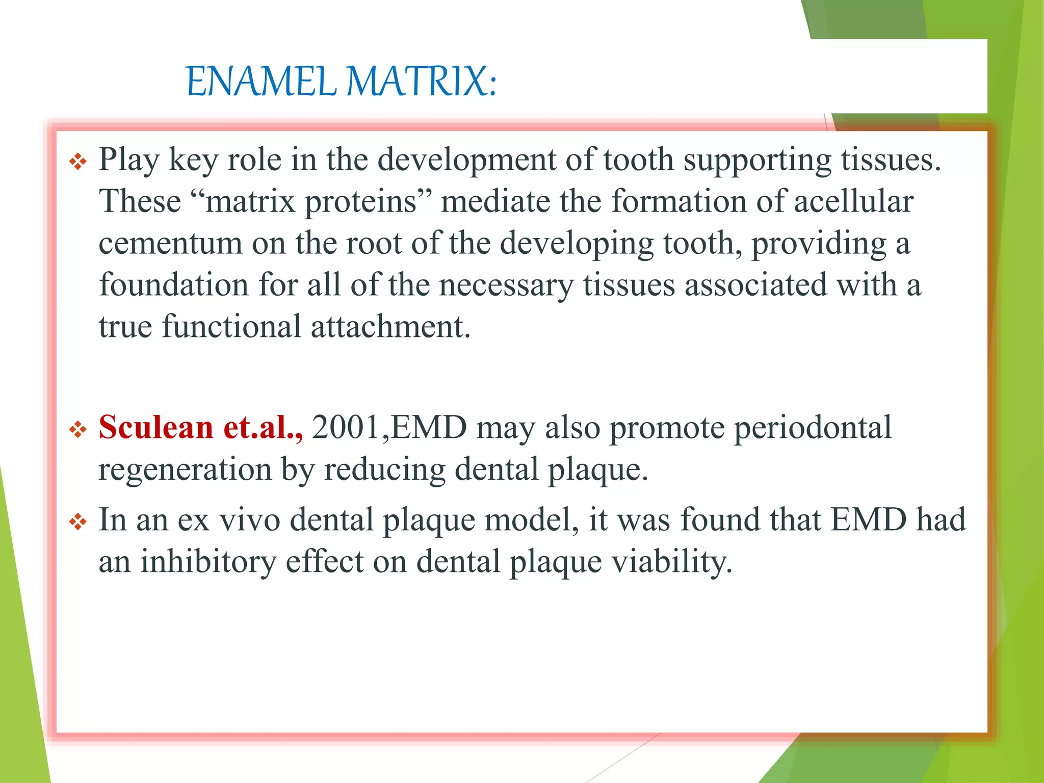 ENAMEL MATRIX:
 Play key role in the development of tooth supporting tissues.
These “matrix proteins” mediate the formation of acellular
cementum on the root of the developing tooth, providing a
foundation for all of the necessary tissues associated with a
true functional attachment.
 Sculean et.al., 2001,EMD may also promote periodontal
regeneration by reducing dental plaque.
 In an ex vivo dental plaque model, it was found that EMD had
an inhibitory effect on dental plaque viability.
 