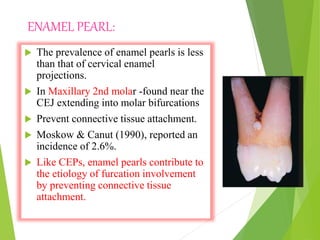 ENAMEL PEARL:
 The prevalence of enamel pearls is less
than that of cervical enamel
projections.
 In Maxillary 2nd molar -found near the
CEJ extending into molar bifurcations
 Prevent connective tissue attachment.
 Moskow & Canut (1990), reported an
incidence of 2.6%.
 Like CEPs, enamel pearls contribute to
the etiology of furcation involvement
by preventing connective tissue
attachment.
 