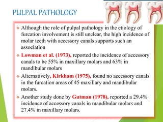 PULPAL PATHOLOGY
 Although the role of pulpal pathology in the etiology of
furcation involvement is still unclear, the high incidence of
molar teeth with accessory canals supports such an
association
 Lowman et al. (1973), reported the incidence of accessory
canals to be 55% in maxillary molars and 63% in
mandibular molars
 Alternatively, Kirkham (1975), found no accessory canals
in the furcation areas of 45 maxillary and mandibular
molars.
 Another study done by Gutman (1978), reported a 29.4%
incidence of accessory canals in mandibular molars and
27.4% in maxillary molars.
 