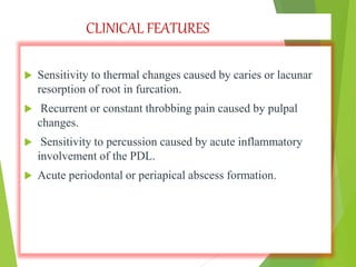 CLINICAL FEATURES
 Sensitivity to thermal changes caused by caries or lacunar
resorption of root in furcation.
 Recurrent or constant throbbing pain caused by pulpal
changes.
 Sensitivity to percussion caused by acute inflammatory
involvement of the PDL.
 Acute periodontal or periapical abscess formation.
 