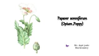 Papaver somniferum
(Opium,Poppy)
by:- Mr. Arpit joshi
Biochemistry
 
