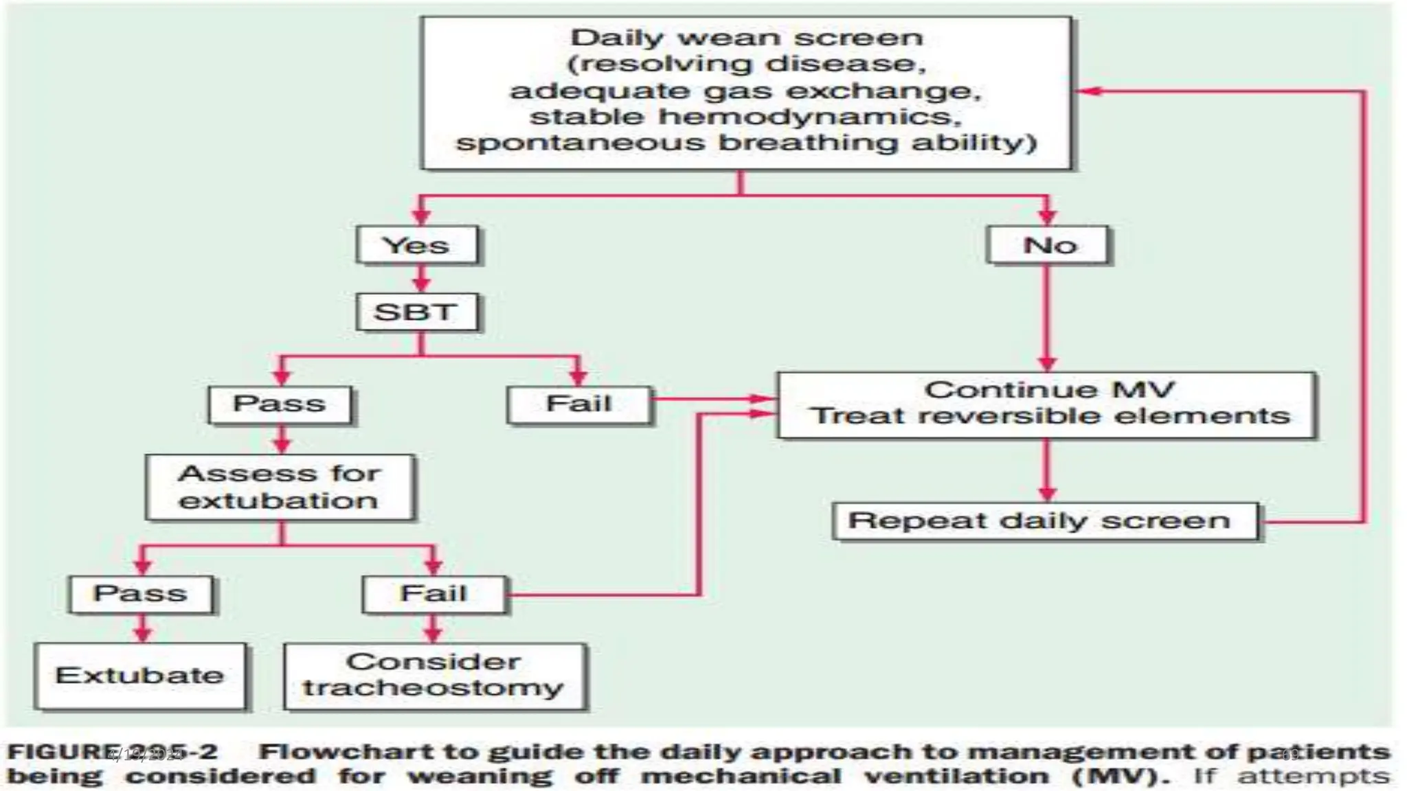 Patients with uncertainty
• For patients in whom uncertainty exists as to whether the readiness criteria will predict a
successful weaning trial, we sometimes use a weaning predictor to identify potential
candidates suitable for weaning or to confirm lack of readiness to wean (eg, patients with
borderline readiness criteria or suspected respiratory muscle weakness).
• Use of weaning predictors is most pertinent among patients in whom the risk associated
with a failed spontaneous trial is significantly elevated (eg, patients with prolonged
mechanical ventilation, patients with critical care neuromyopathy).
• Among the predictors, the rapid shallow breathing index (RSBI) is our preferred
weaning predictor because it is well studied, easy to measure, and no alternative
predictor has been shown to be superior.
• For patients who have an RSBI <105 breaths/minute/L (measured without ventilatory
support), we initiate a weaning trial.
• For patients who have an RSBI ≥105 breaths/minute/L (measured without ventilatory
support), we maintain full ventilatory support.
4/19/2024 69
 