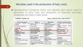 Microbes used in the production of hairy roots.
 Agrobacterium rhizogenes strains and selected plant source used for
generation of hairy roots and production of respective secondary
metabolites are listed in table below
12
 