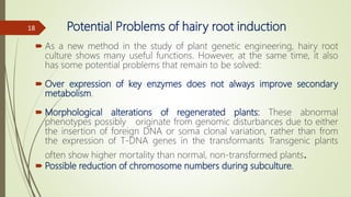 Potential Problems of hairy root induction
 As a new method in the study of plant genetic engineering, hairy root
culture shows many useful functions. However, at the same time, it also
has some potential problems that remain to be solved:
 Over expression of key enzymes does not always improve secondary
metabolism.
 Morphological alterations of regenerated plants: These abnormal
phenotypes possibly originate from genomic disturbances due to either
the insertion of foreign DNA or soma clonal variation, rather than from
the expression of T-DNA genes in the transformants Transgenic plants
often show higher mortality than normal, non-transformed plants.
 Possible reduction of chromosome numbers during subculture.
18
 