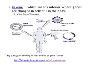 Fig. 3. Diagram showing in-vivo method of gene transfer
      http://wikipedia/gene therapy /method_in-vivo/image
 