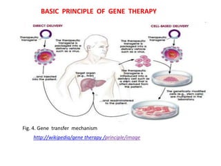 BASIC PRINCIPLE OF GENE THERAPY




Fig. 4. Gene transfer mechanism
    http://wikipedia/gene therapy /principle/image
 