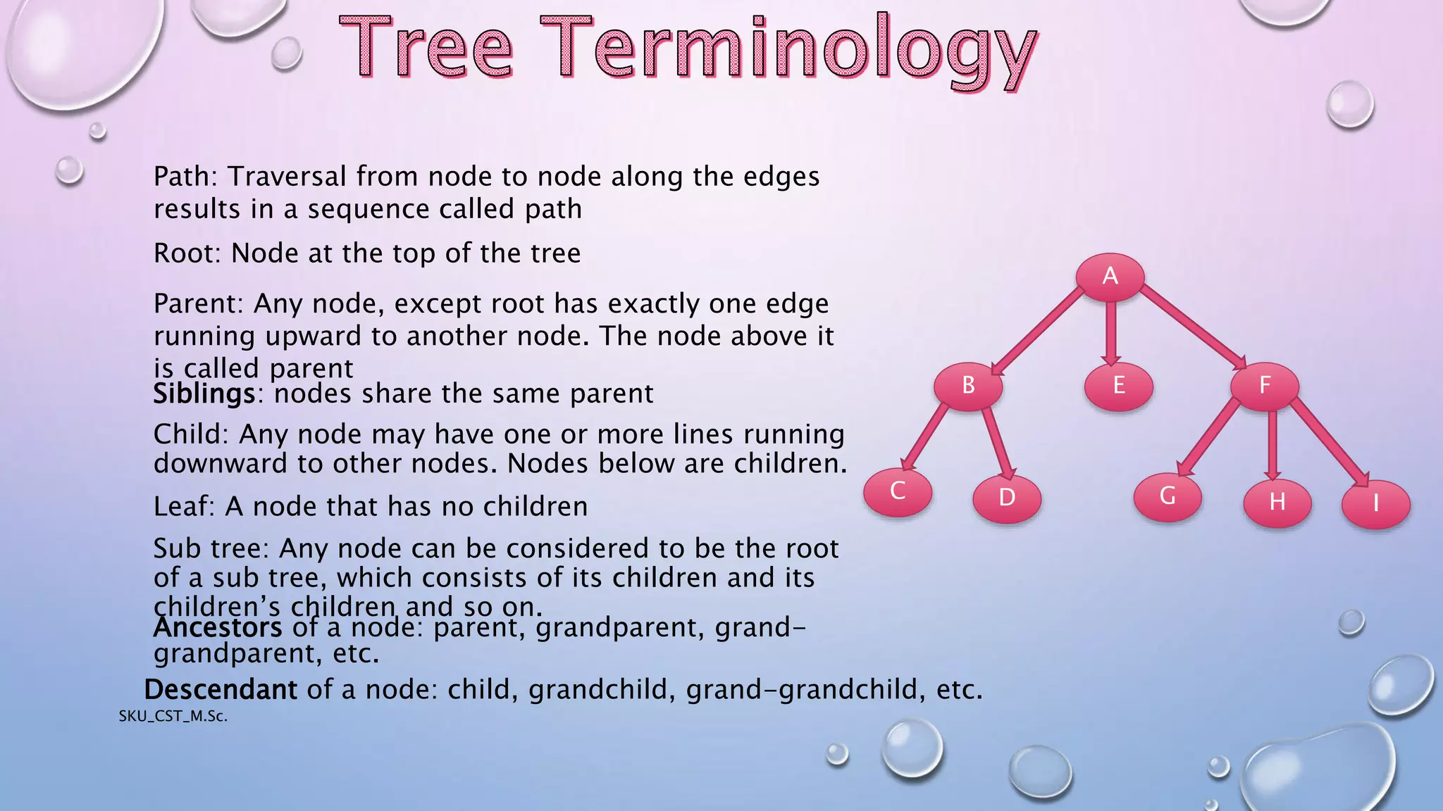 TREE in Data Structures | PPT