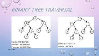 TREE in Data Structures | PPTX | Programming Languages | Computing