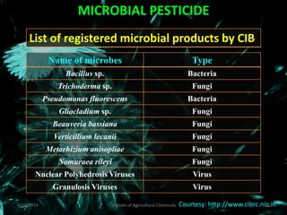 List of registered microbial products by CIB
Name of microbes Type
Bacillus sp. Bacteria
Trichoderma sp. Fungi
Pseudomonas fluorescens Bacteria
Gliocladium sp. Fungi
Beauveria bassiana Fungi
Verticillium lecanii Fungi
Metarhizium anisopliae Fungi
Nomuraea rileyi Fungi
Nuclear Polyhedrosis Viruses Virus
Granulosis Viruses Virus
Courtesy: http://www.cibrc.nic.in
9/11/2014 18
Division of Agricultural Chemicals
MICROBIAL PESTICIDE
 