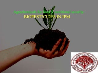 Agrochemicals for food & nutritional security:
BIOPESTICIDES IN IPM
2
Division of Agricultural Chemicals
 