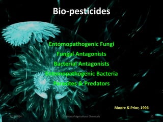 Bio-pesticides
Entomopathogenic Fungi
Fungal Antagonists
Bacterial Antagonists
Entomopathogenic Bacteria
Parasites & Predators
9/11/2014 Division of Agricultural Chemicals 20
Moore & Prior, 1993
 