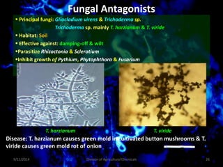Fungal Antagonists
 Principal fungi: Gliocladium virens & Trichoderma sp.
Trichoderma sp. mainly T. harzianum & T. viride
 Habitat: Soil
 Effective against: damping-off & wilt
Parasitize Rhizoctonia & Sclerotium
Inhibit growth of Pythium, Phytophthora & Fusarium
T. harzianum T. viride
Disease: T. harzianum causes green mold in cultivated button mushrooms & T.
viride causes green mold rot of onion
9/11/2014 26
Division of Agricultural Chemicals
 