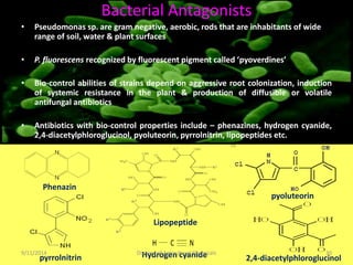 Bacterial Antagonists
• Pseudomonas sp. are gram negative, aerobic, rods that are inhabitants of wide
range of soil, water & plant surfaces
• P. fluorescens recognized by fluorescent pigment called ‘pyoverdines’
• Bio-control abilities of strains depend on aggressive root colonization, induction
of systemic resistance in the plant & production of diffusible or volatile
antifungal antibiotics
• Antibiotics with bio-control properties include – phenazines, hydrogen cyanide,
2,4-diacetylphloroglucinol, pyoluteorin, pyrrolnitrin, lipopeptides etc.
Phenazin
2,4-diacetylphloroglucinol
pyoluteorin
pyrrolnitrin
Lipopeptide
Hydrogen cyanide
9/11/2014 30
Division of Agricultural Chemicals
 