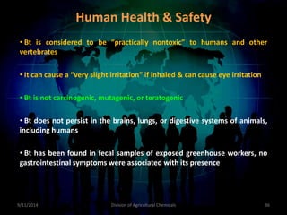 • Bt is considered to be “practically nontoxic” to humans and other
vertebrates
• It can cause a “very slight irritation” if inhaled & can cause eye irritation
• Bt is not carcinogenic, mutagenic, or teratogenic
• Bt does not persist in the brains, lungs, or digestive systems of animals,
including humans
• Bt has been found in fecal samples of exposed greenhouse workers, no
gastrointestinal symptoms were associated with its presence
9/11/2014 36
Division of Agricultural Chemicals
Human Health & Safety
 
