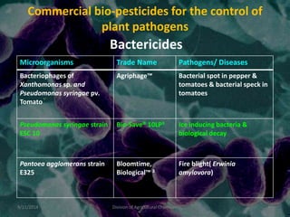Commercial bio-pesticides for the control of
plant pathogens
Microorganisms Trade Name Pathogens/ Diseases
Bacteriophages of
Xanthomonas sp. and
Pseudomonas syringae pv.
Tomato
Agriphage™ Bacterial spot in pepper &
tomatoes & bacterial speck in
tomatoes
Pseudomonas syringae strain
ESC 10
Bio-Save® 10LP3 Ice inducing bacteria &
biological decay
Pantoea agglomerans strain
E325
Bloomtime,
Biological™ 3
Fire blight( Erwinia
amylovora)
Bactericides
9/11/2014 45
Division of Agricultural Chemicals
 